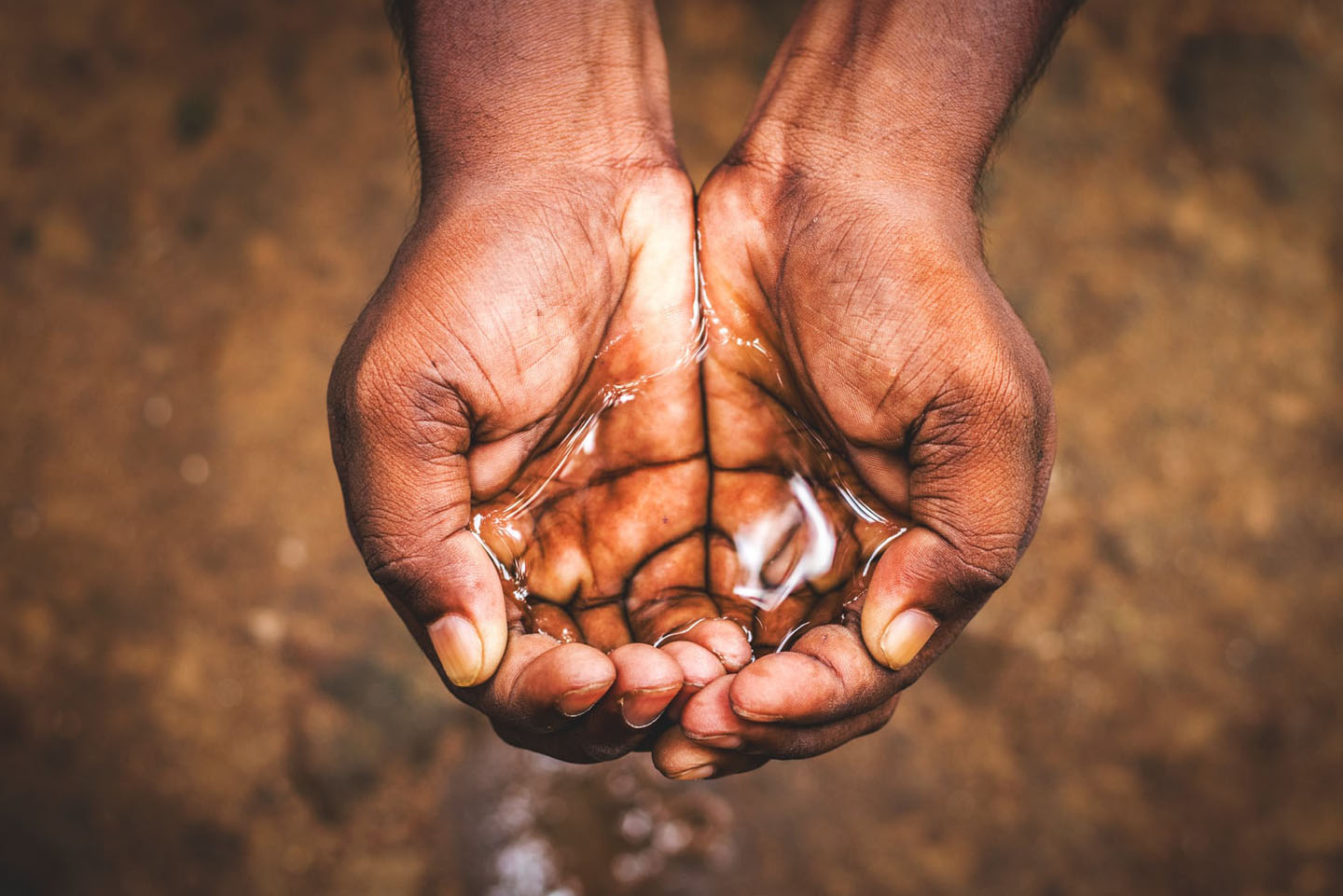 Hands holding water